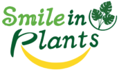 Smile in Plants – Interior Plants Services