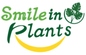 Smile in Plants – Premium Interior Plantscaping Services