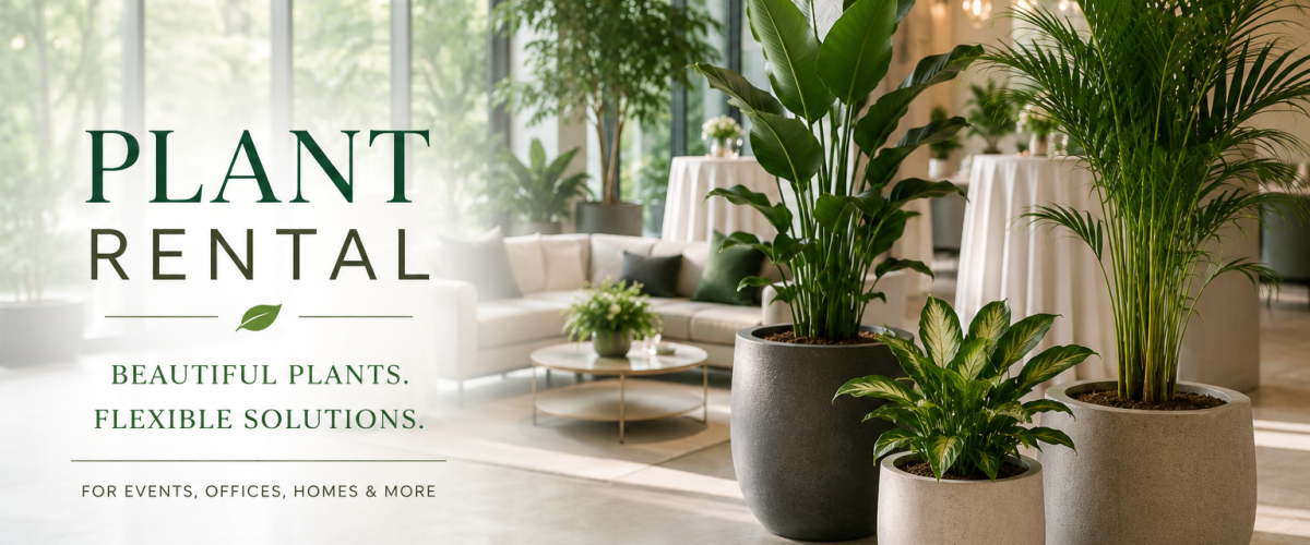 Plant Rental