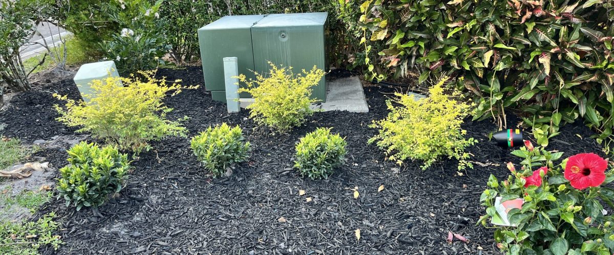 smilein plants landscaping services